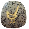 roadrunner