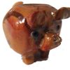 sa lucky pig