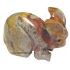 sa rabbit