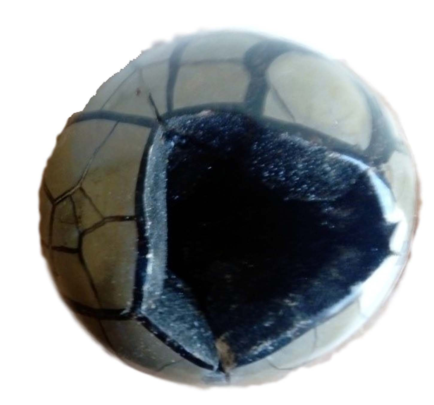 septarian dragon sphere_clipped_rev_1