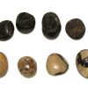 septarian gallet