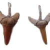 shark teeth small
