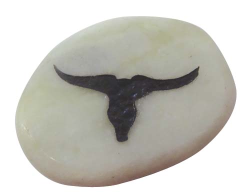 steer skull