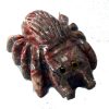 tarantula