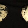 zebra heart
