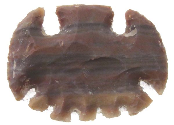 bat