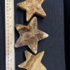 chocolcate calcite star