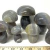 agate banded mushroom 25