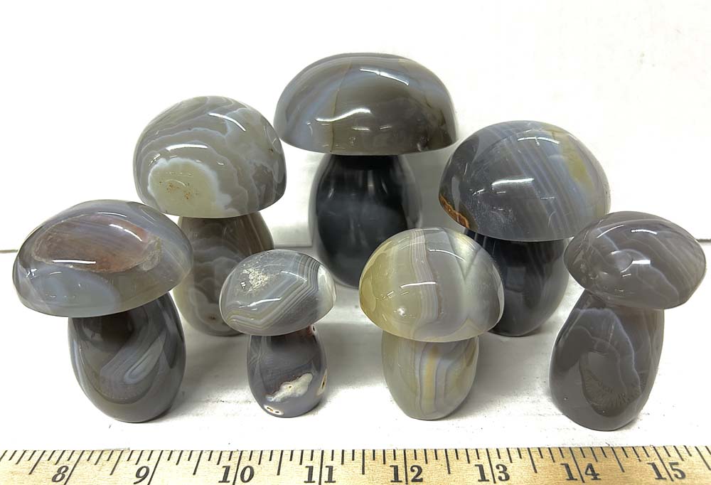 agate banded mushroom 25