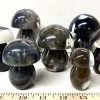 agate black and white mushroom 25