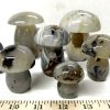 agate dendritic mushroom 25