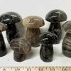black moonstone mushroom 25