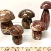 petrified wood mushroom 25