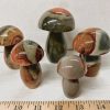 polychrome mushroom 25