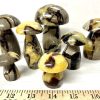 septarian mushroom 1