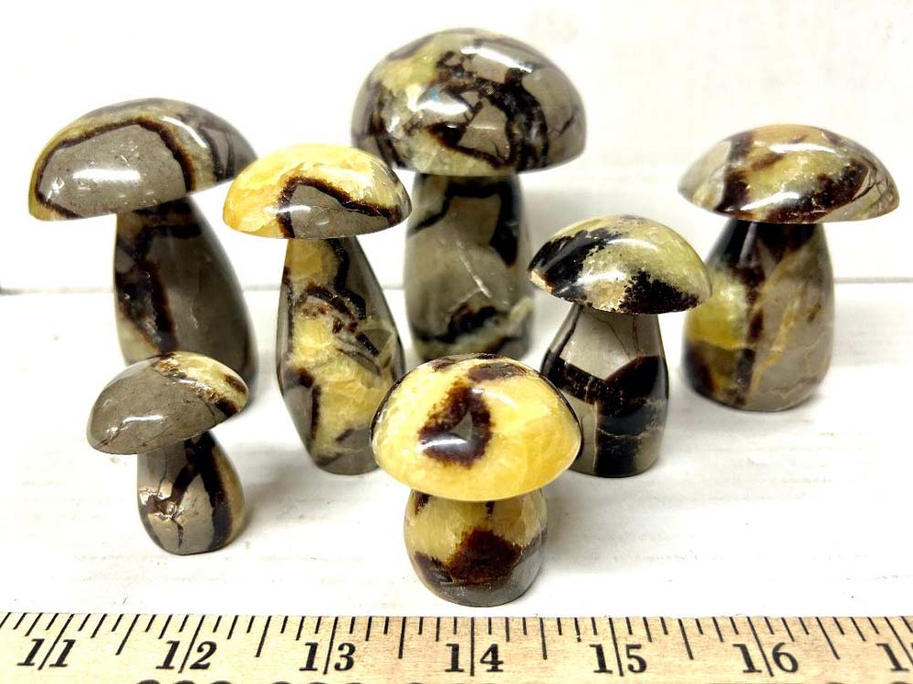 septarian mushroom 1