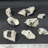 black tourmaline in quartz 14l