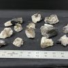 smokey cluster 48l