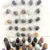 stone egg pack