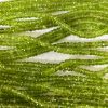 lot 74 peridot