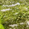lot 77 peridot