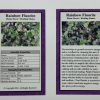 stone card rainbow fluorite