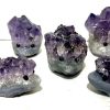 amethyst hedge hog