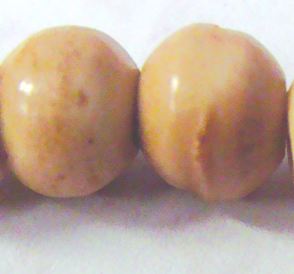 bone bead antique