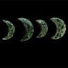 kambaba moon