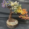 7 charka tree 500 chip