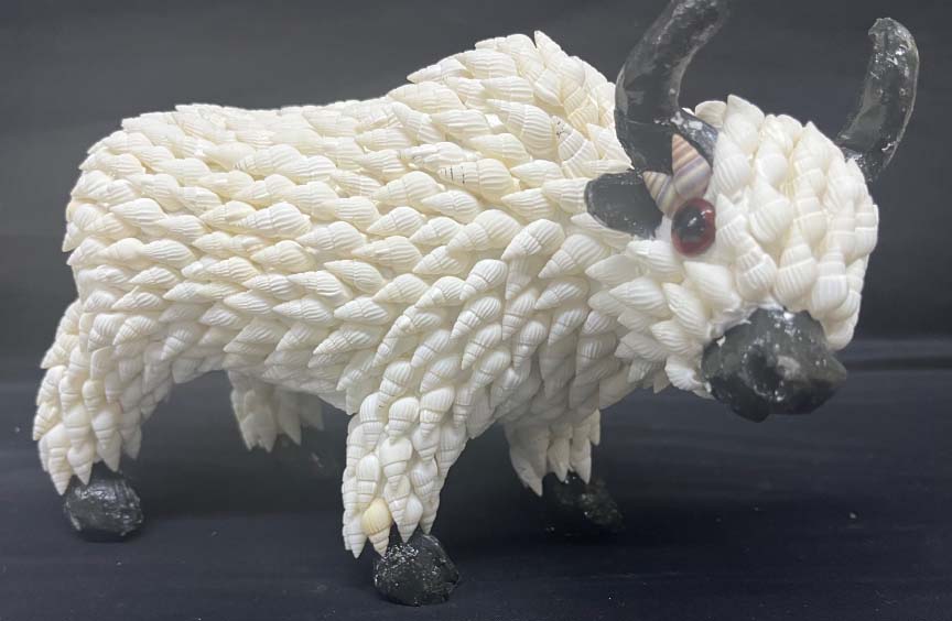 shell animal buffalo