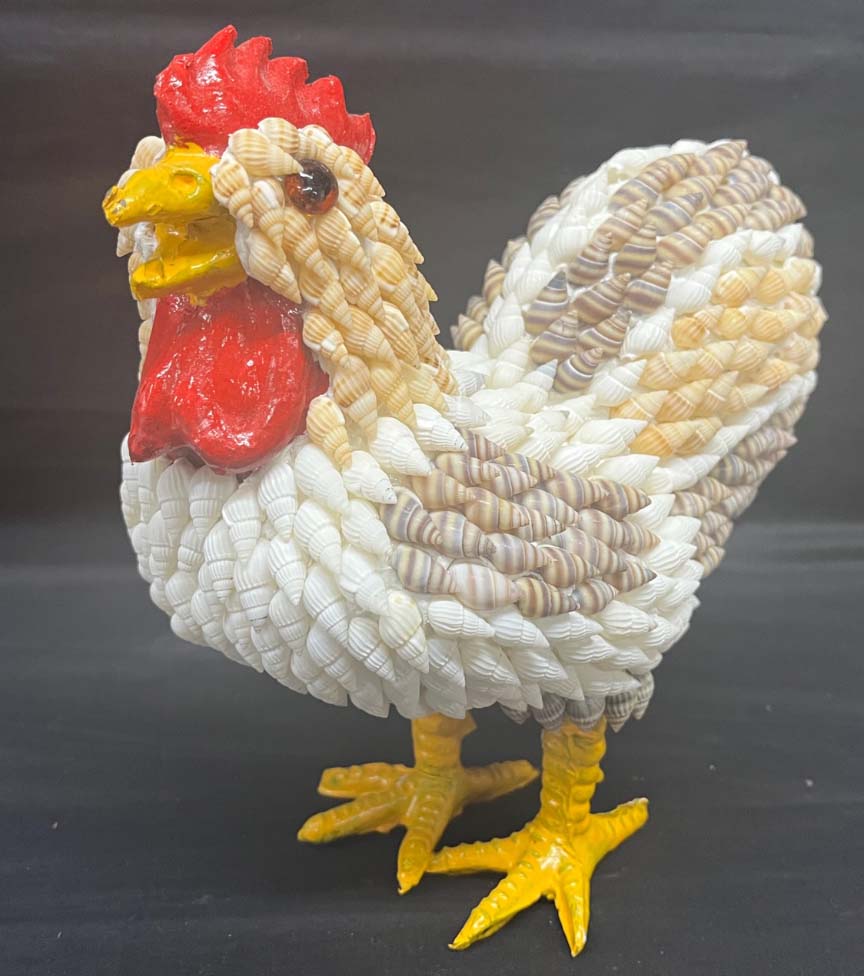 shell animal chicken