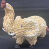shell animal elephant