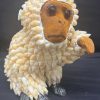 shell animal monkey