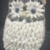 shell animal owl