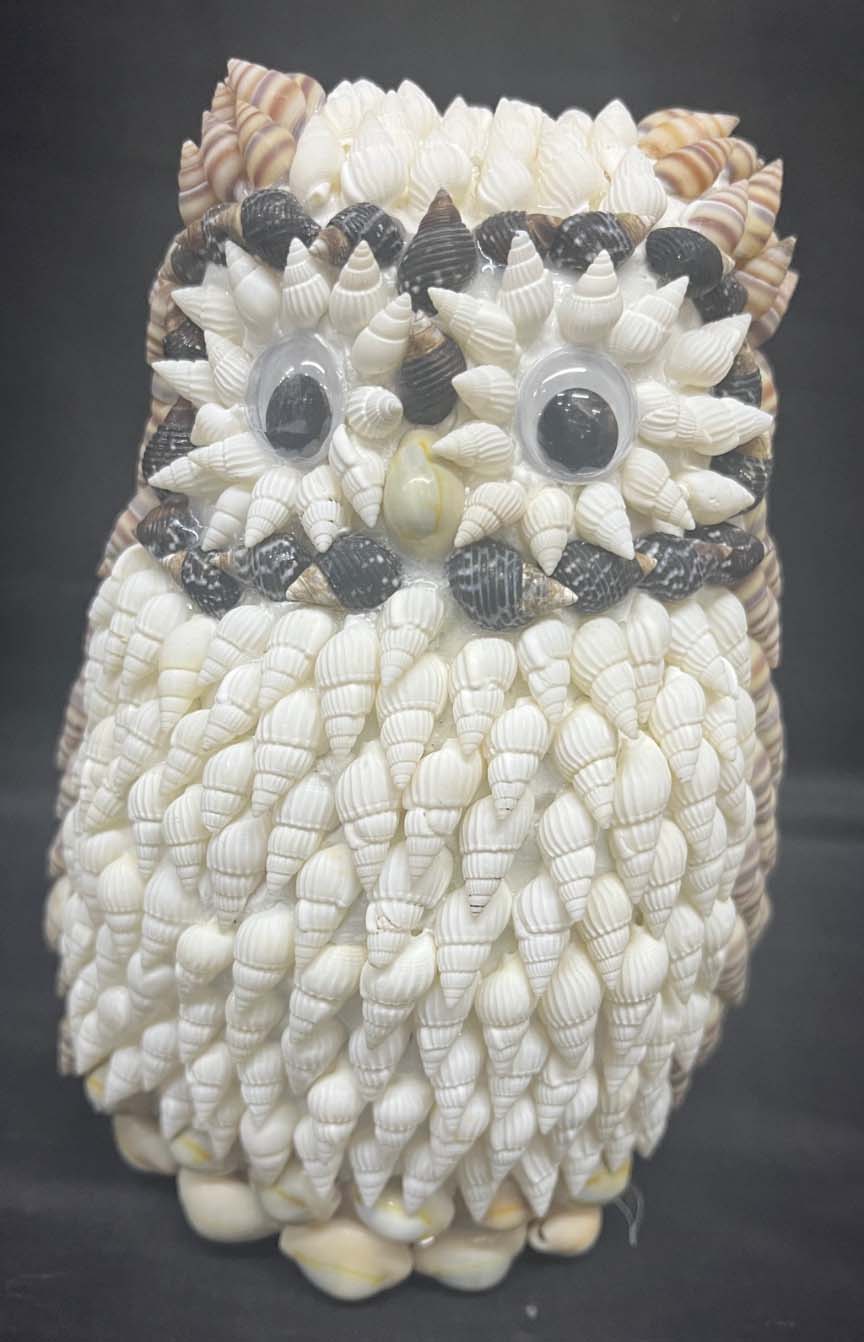 shell animal owl