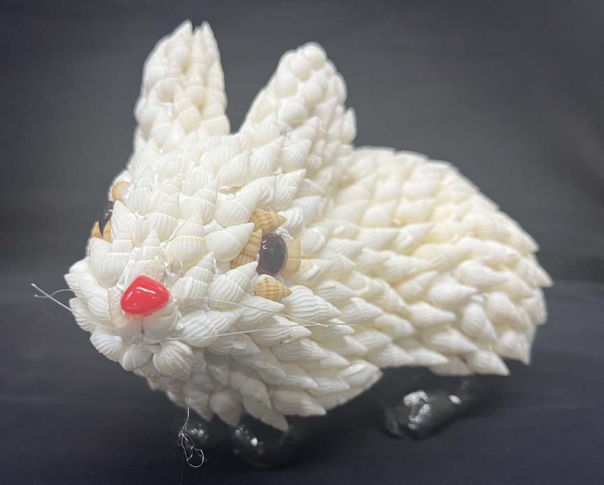 shell animal rabbit