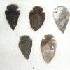 agate arrowhead 1 and half