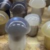 agate mushroom 2nd