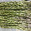 sweetgrass