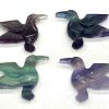 fluorite hummingbird