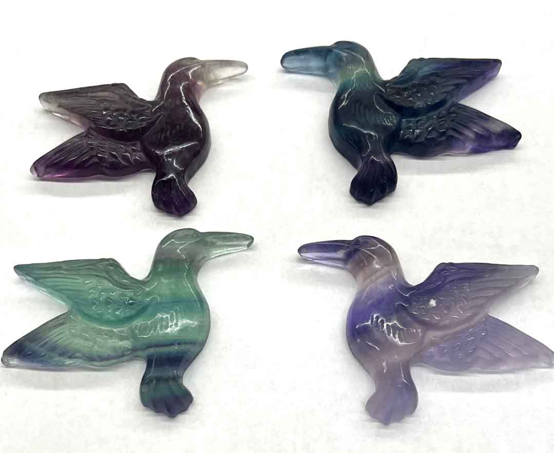 fluorite hummingbird