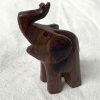 elephant medium