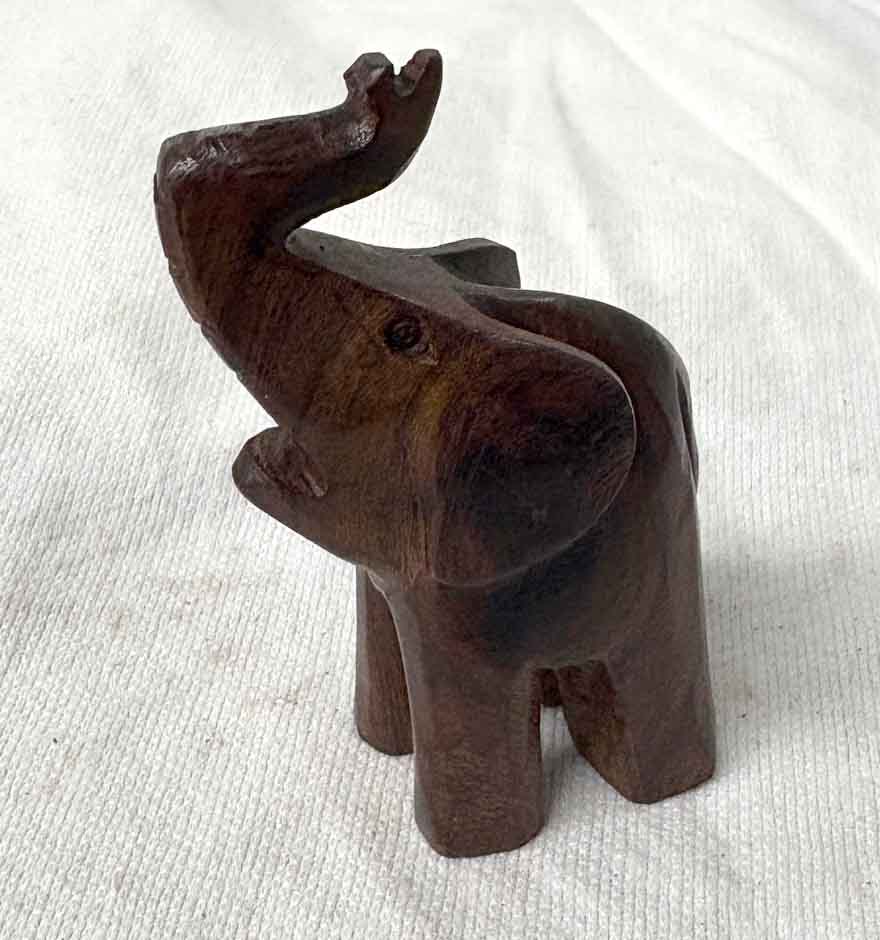 elephant medium
