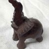 elephant small