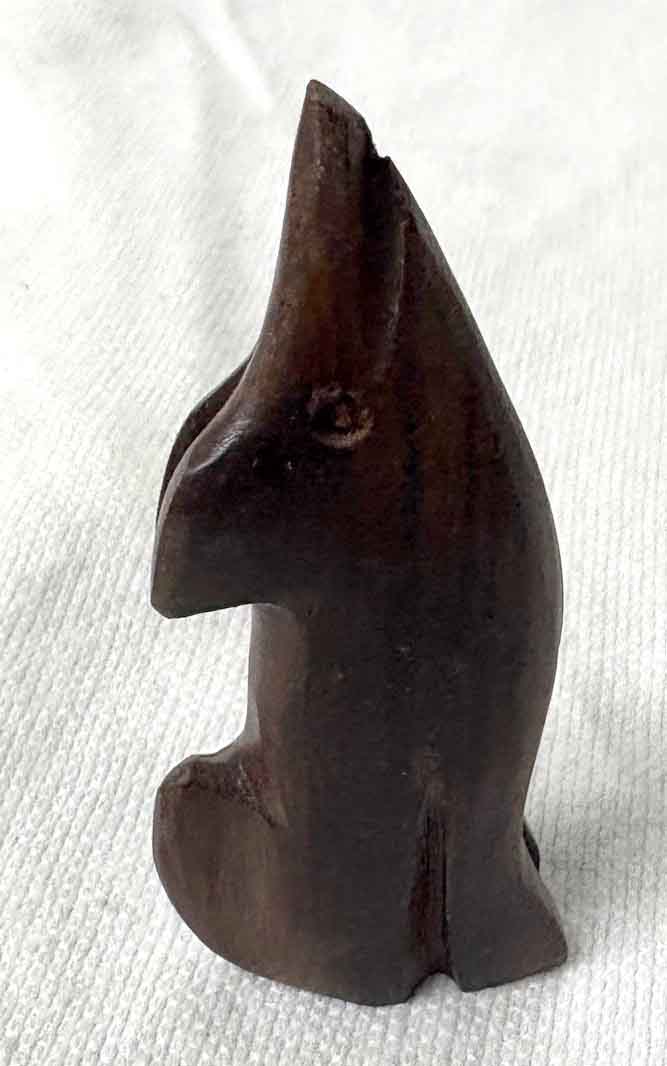mini coyote