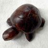 mini turtle