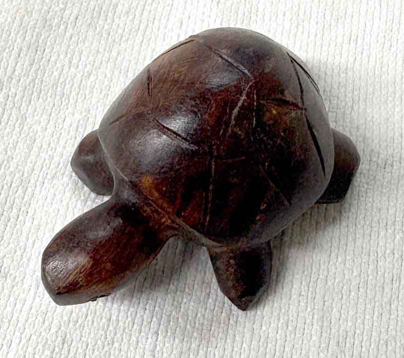 mini turtle