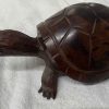 turtle large