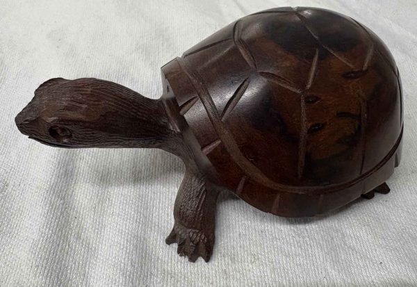 turtle large